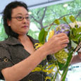 阿倍野教室 チーフ講師 木村真貴子